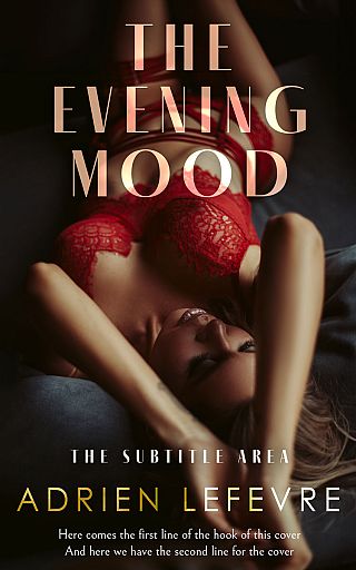 3D mockup of Brandy Rose #29307 - Premade Erotica Book Cover | BookCoverZone