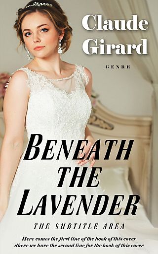 3D mockup of Heathered Gray #29783 - Premade Romance Book Cover | BookCoverZone