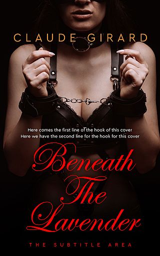 3D mockup of Contessa #29917 - Premade Romance Book Cover | BookCoverZone