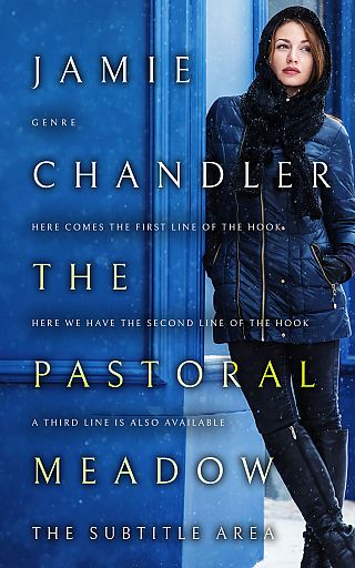 3D mockup of Chathams Blue #31479 - Premade Romance Book Cover | BookCoverZone