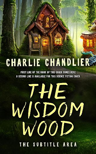 3D mockup of Deco #31673 - Premade Children Book Cover | BookCoverZone