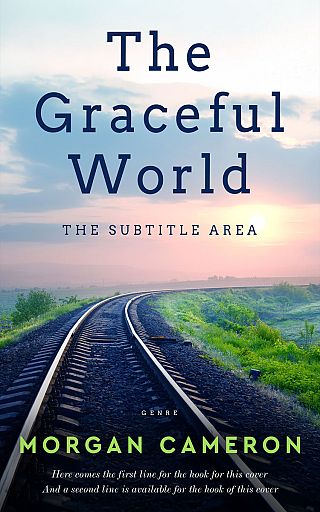 3D mockup of Big Stone #33244 - Premade Travel Book Cover | BookCoverZone
