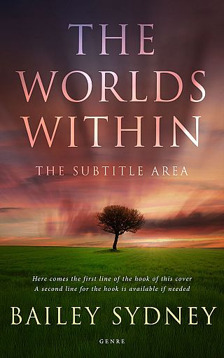3D mockup of Birch #33327 - Premade Literary Fiction Book Cover | BookCoverZone