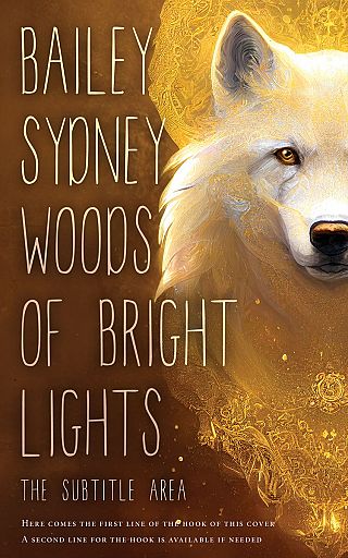 3D mockup of West Coast #33399 - Premade Children Book Cover | BookCoverZone