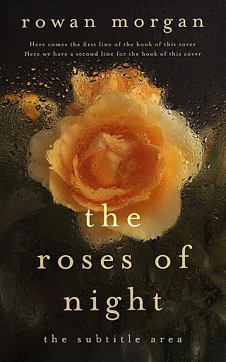 3D mockup of Copper #34390 - Premade Romance Book Cover | BookCoverZone