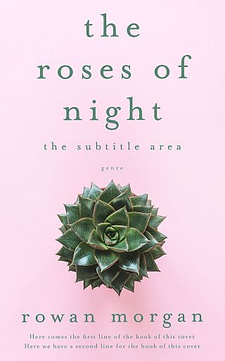 3D mockup of Carousel Pink #34397 - Premade Poetry Book Cover | BookCoverZone