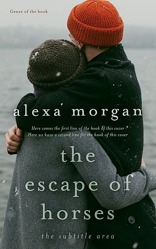 3D mockup of Tide #34407 - Premade Romance Book Cover | BookCoverZone