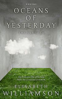 Pre Made Book Cover Limed Ash