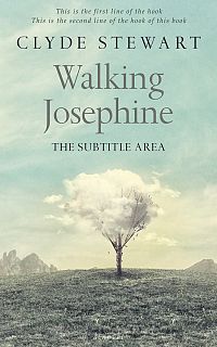 Pre Made Book Cover Pale Leaf