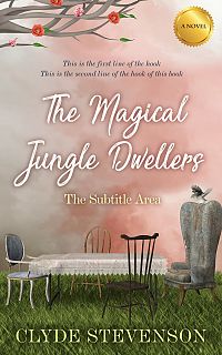 Pre Made Book Cover Rodeo Dust