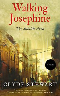 Pre Made Book Cover Straw