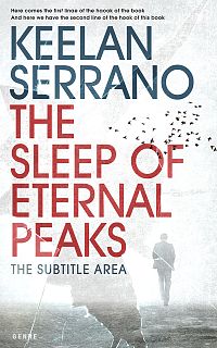 Pre Made Book Cover Porcelain