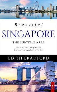 Pre Made Book Cover Gray Suit