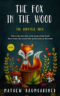 Pre Made Book Cover Aztec