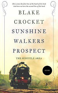Pre Made Book Cover Armadillo