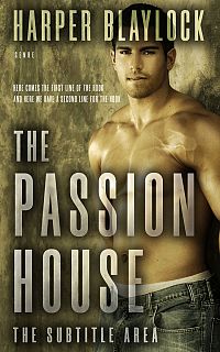 Pre Made Book Cover Lisbon Brown