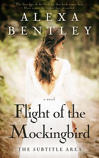 Pre Made Book Cover Birch