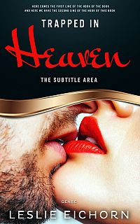 Pre Made Book Cover Aztec