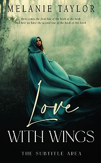 Pre Made Book Cover Aztec