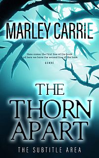 Pre Made Book Cover Firefly