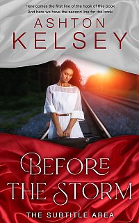 Pre Made Book Cover Silver
