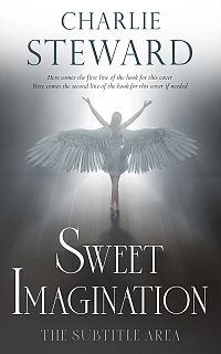 Pre Made Book Cover Abbey