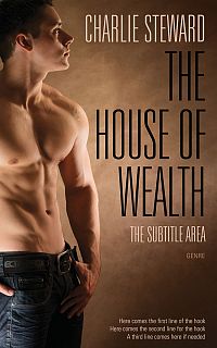 Pre Made Book Cover Spice