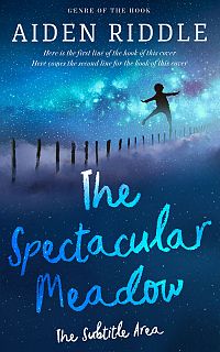 Pre Made Book Cover Biscay