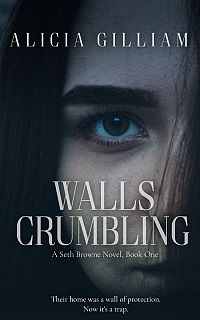Pre Made Book Cover Ebony Clay