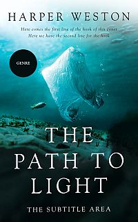 Pre Made Book Cover Jagged Ice