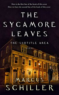 Pre Made Book Cover Gondola