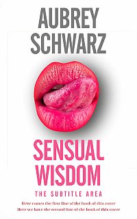 Pre Made Book Cover Cabaret