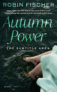 Pre Made Book Cover Aztec