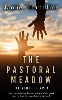 Pre Made Book Cover Calico