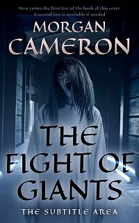 Pre Made Book Cover Firefly