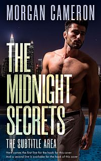Pre Made Book Cover Soft Amber