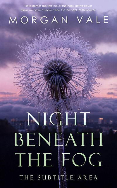 Pre Made Book Cover Dolphin