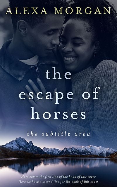 Pre Made Book Cover Big Stone