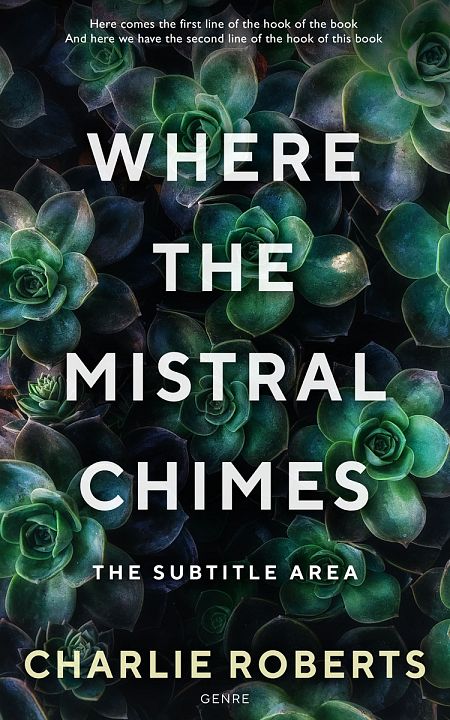 Related Premade Romance Book Cover: Aztec #4345