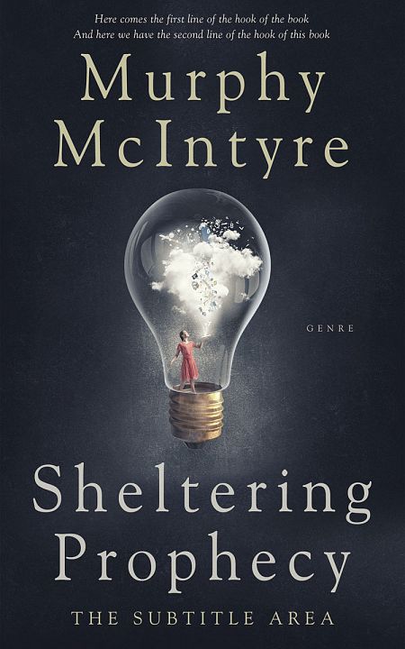 Related Premade Self-Improvement & Self-Help Book Cover: Charade #6108