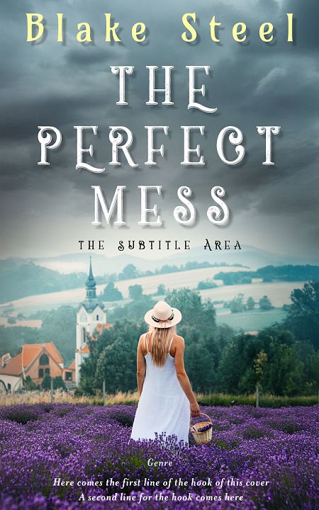Related Premade Romance Book Cover: Shuttle Gray #16332