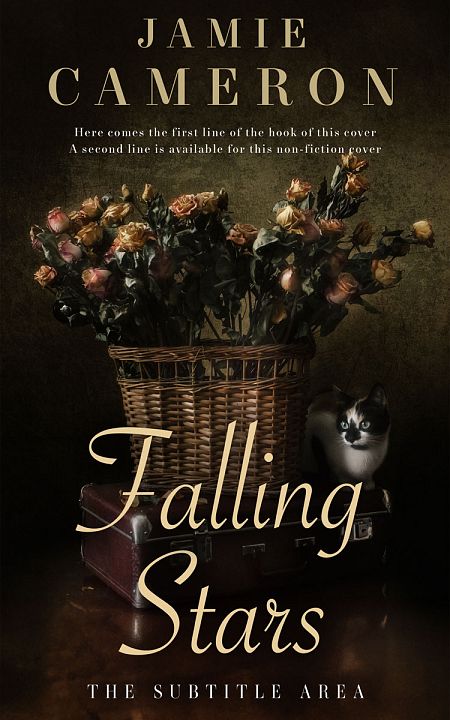 Related Premade Poetry Book Cover: Eternity #16497