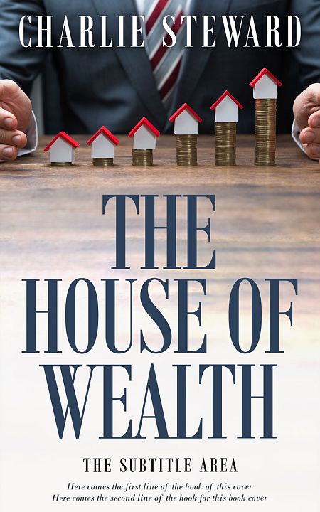 Related Premade Self-Improvement & Self-Help Book Cover: Ebony Clay #20939