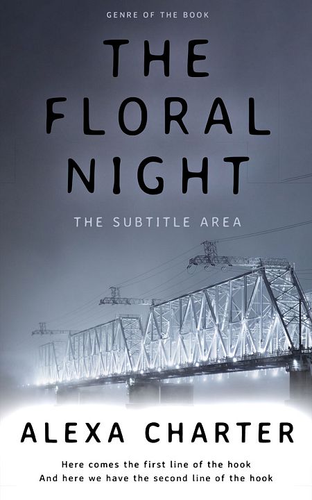 Related Premade Mystery & Thriller & Suspense Book Cover: Shuttle Gray #21867