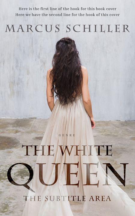 Related Premade  literary fiction Book Cover: Silver #25733