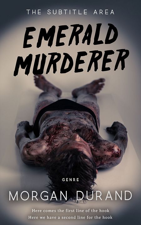 Related Premade Mystery & Thriller & Suspense Book Cover: Ship Gray #32069