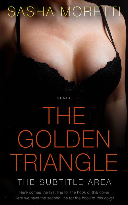 Related Premade Erotica Book Cover: Night Rider #32228