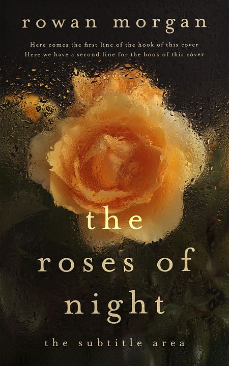 Related Premade Romance Book Cover: Copper #34390