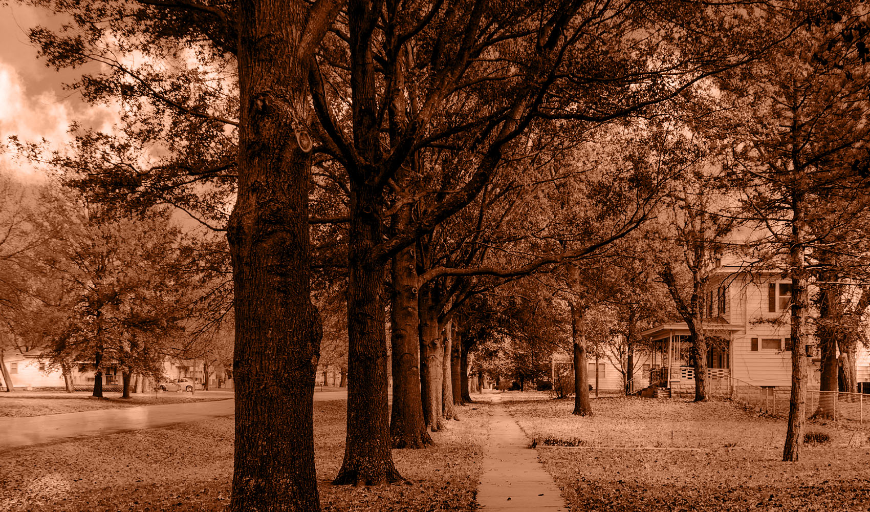 Literature & Fiction-Small Town & Rural
